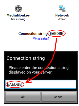 Image displaying the connection string.